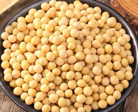 豆皮機市場應該怎么走