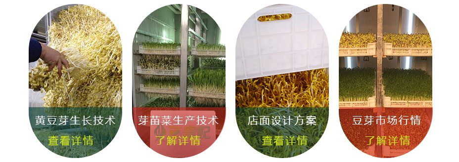 豆芽機怎么生產豆芽 豆芽機怎么生產豆芽