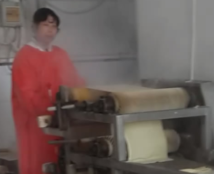 豆皮機(jī)怎么生產(chǎn)豆皮