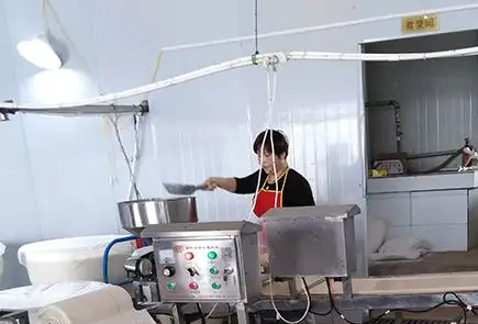 雙層豆皮機(jī) 雙層豆皮機(jī)