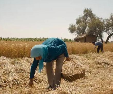 老鐵用豆腐機創業 老鐵用豆腐機創業