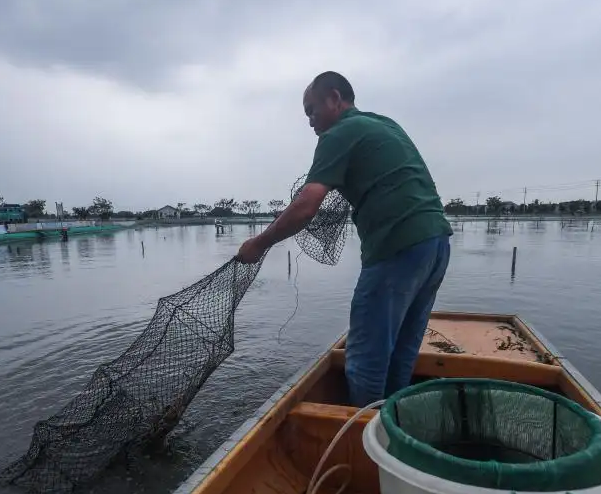 水產(chǎn)老鐵用豆腐機做豆腐 水產(chǎn)老鐵用豆腐機做豆腐