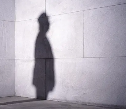 干豆腐機(jī) 干豆腐機(jī)