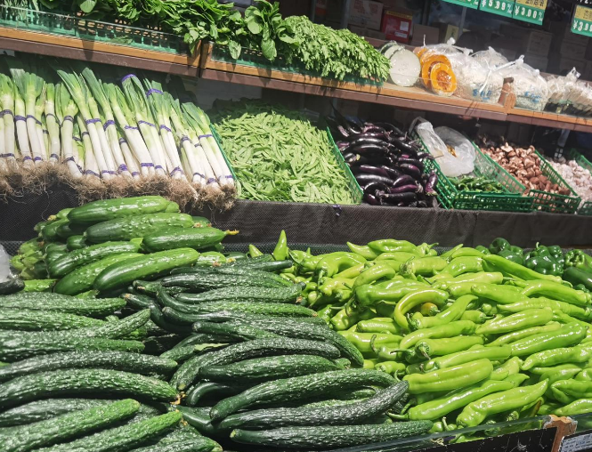 商超老鐵用豆芽機做豆芽 商超老鐵用豆芽機做豆芽