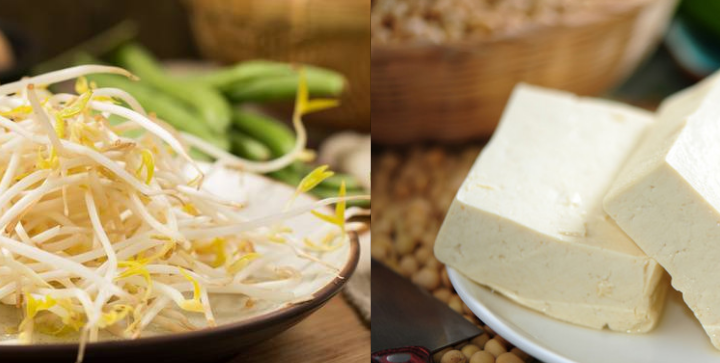 豆貴妃豆腐機和豆芽機 豆貴妃豆腐機和豆芽機