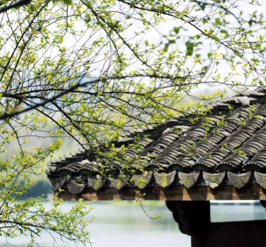 春風四月豆腐機