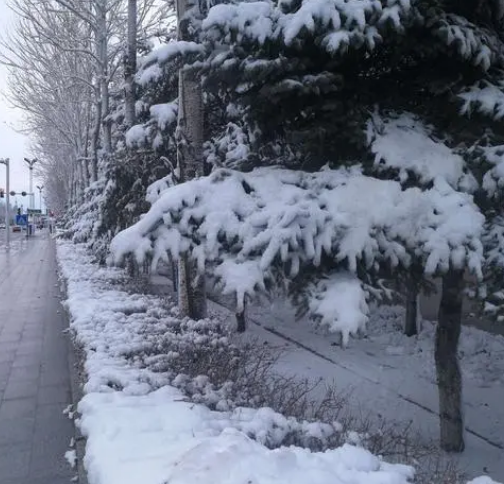 1699402880680891.png image.png