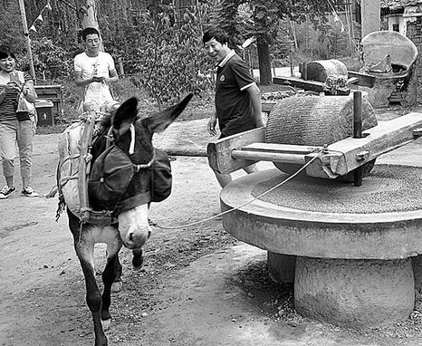 1706744245120239.png image.png