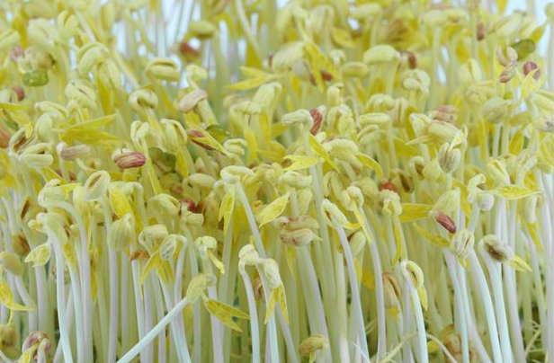 1724543339971442.png image.png